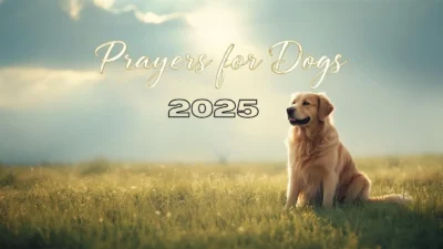 Prayers for Dogs