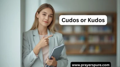 Cudos or Kudos