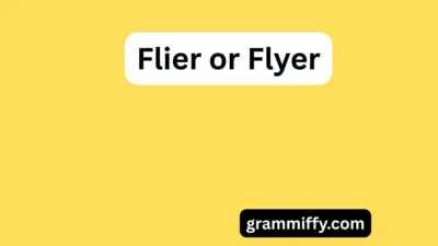 Flier or Flyer