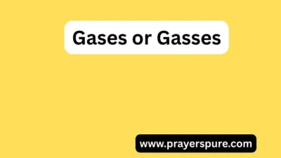 Gases or Gasses
