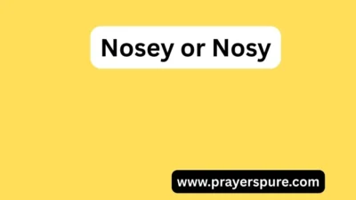 Nosey or Nosy