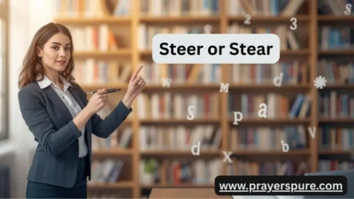 Steer or Stear