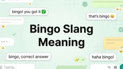 Bingo Slang Meaning